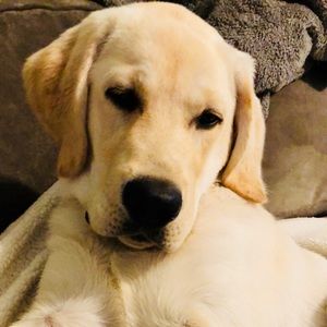 Meet your Posher, Kasandra